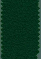 Kunstleder Groen