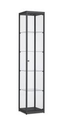 Vitrinekast 198,4x50x50cm haaks profiel