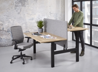  Zit/sta duo Business elektrisch 2 x (120x80 cm)