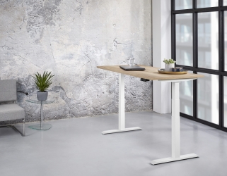 Zit/sta enkel Premium elektrisch 160x80 cm