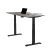 Zit/sta enkel Premium elektrisch 160x80 cm 64237
